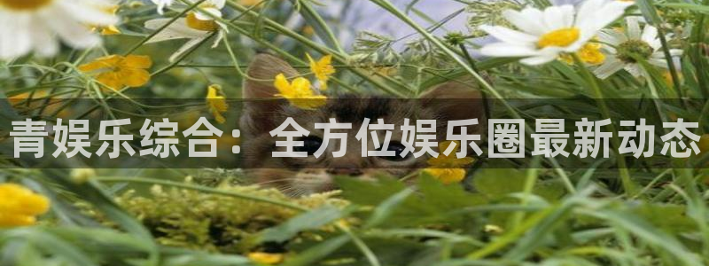 k8凯发天生赢家