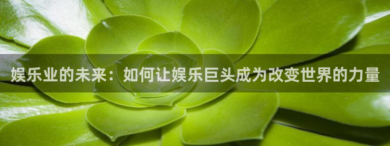 k8凯发一触即发旗舰