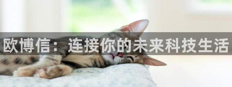 凯发平台k8