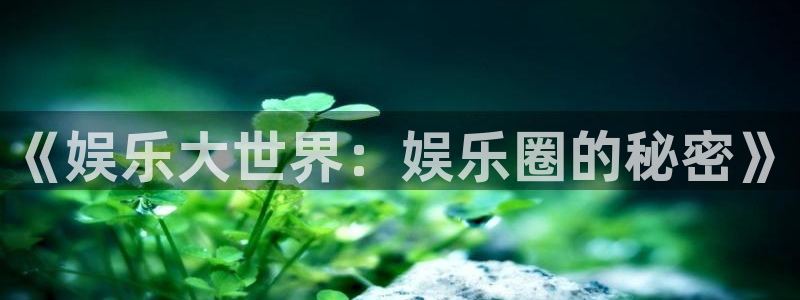 k8凯发app下载安装