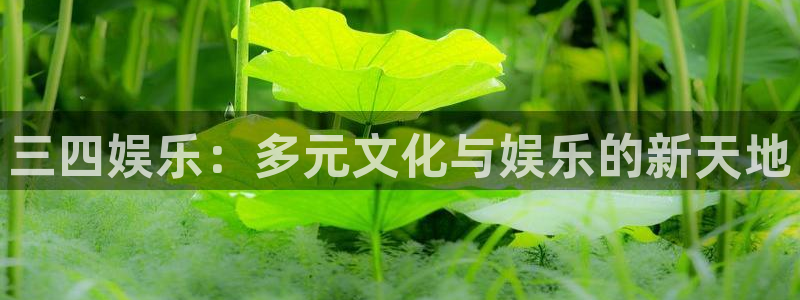k8凯发官网登录入口