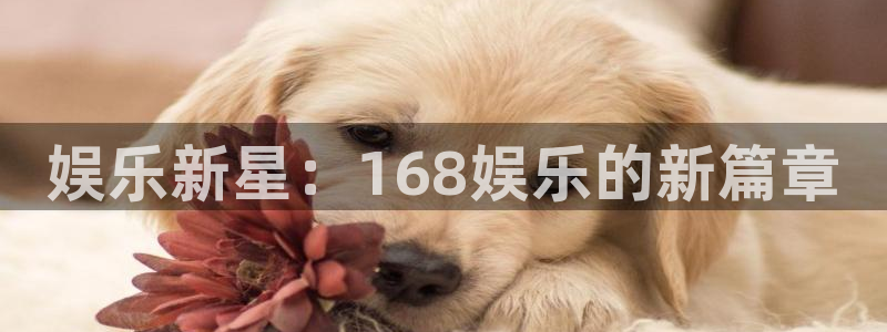 k8凯发·(中国)天生赢家·一触即发：娱乐新星：168娱乐的新篇章