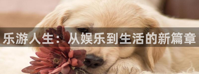凯发天生赢家一触即发人生k8