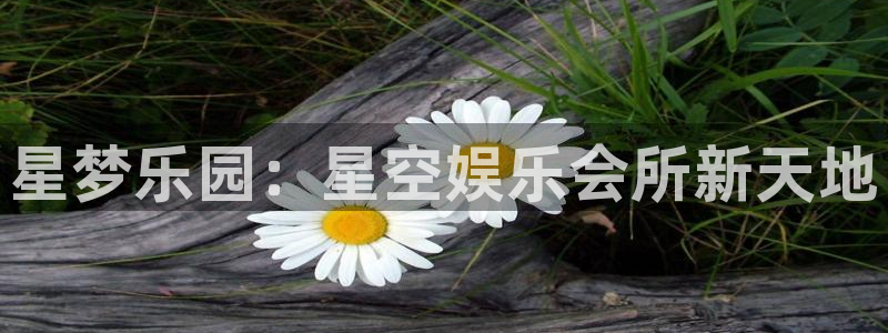 k8凯发·娱乐(中国)首页登录入口