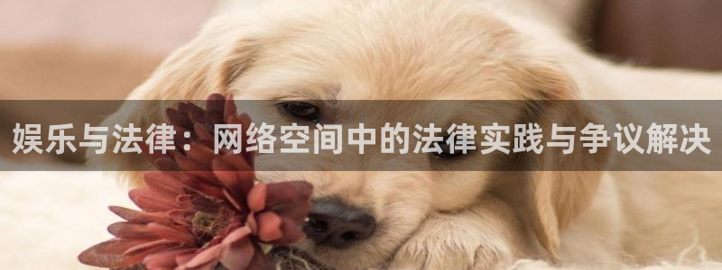 凯发k8国际