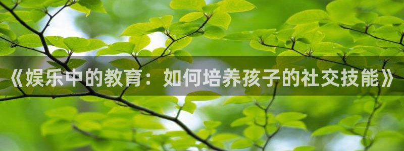k8凯发(中国)天生赢家·一触即